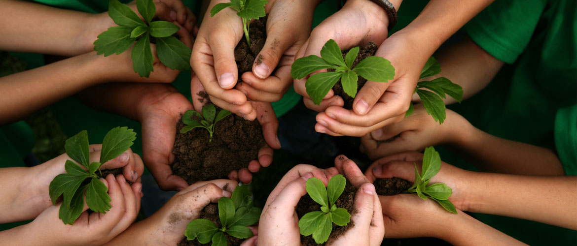 La Boutique del Biologico offre una vasta gamma di prodotti biologici certificati e altamente selezionati, dall'ortofrutta ai prodotti confezionati alla cosmesi bio. In pochi passaggi, i prodotti vengono raccolti, selezionati (rispondendo a stringenti standard qualitativi) e confezionati per arrivare a domicilio mantenendo inalterata la loro freschezza.